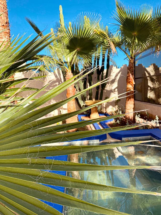 Maison Daouia Ouled Jelal エクステリア 写真