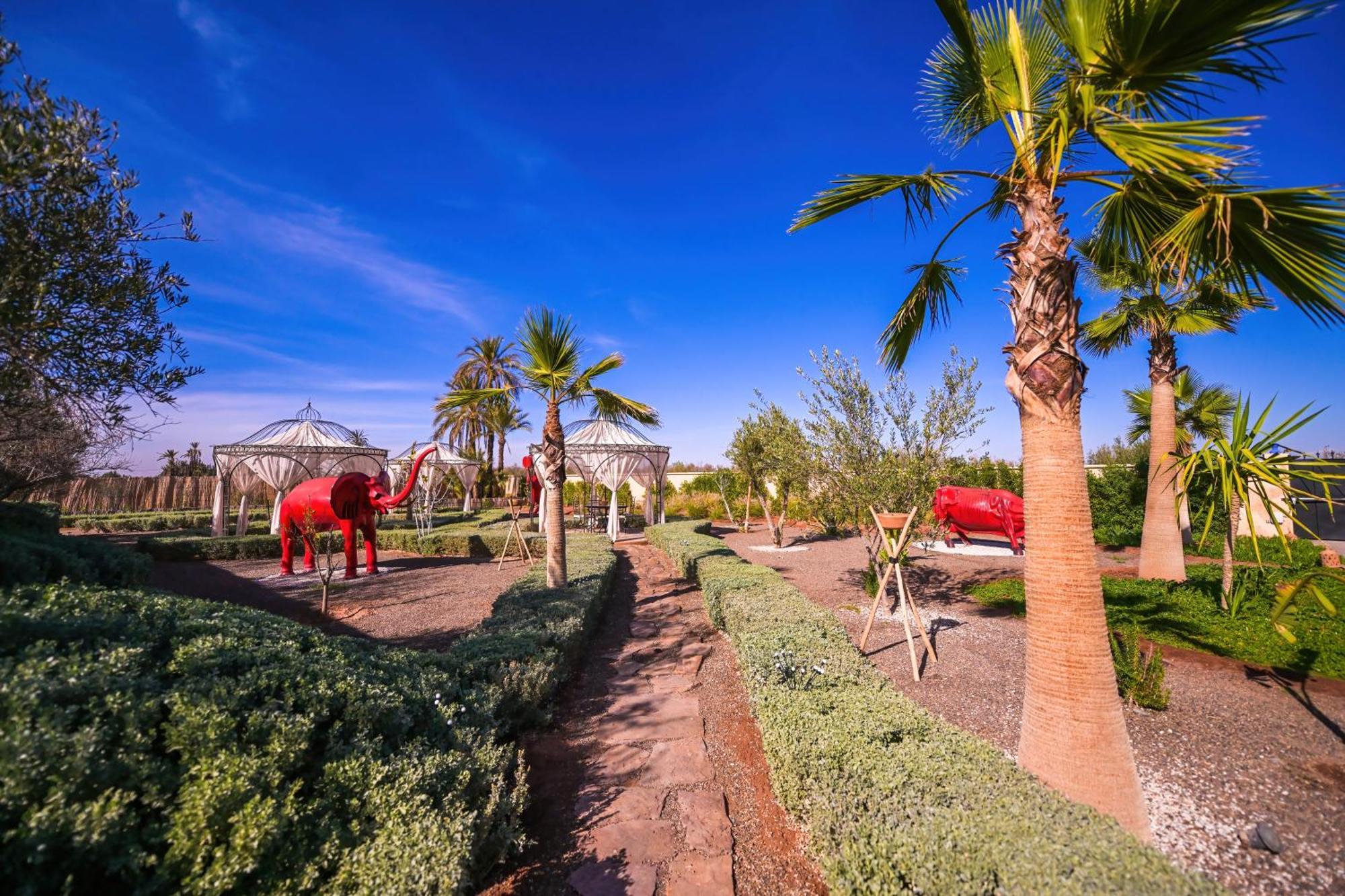 Maison Daouia Ouled Jelal エクステリア 写真